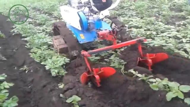 Окучивание картофеля мотоблоком Нева мб 23 смотреть онлайн