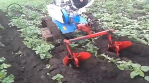 Окучивание картофеля мотоблоком Нева мб 23