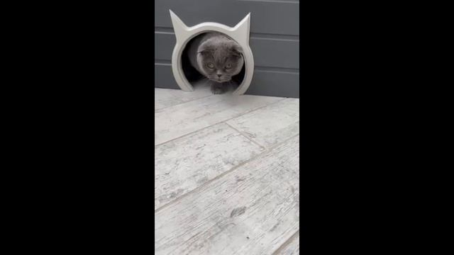 Отделка балконов смотреть онлайн