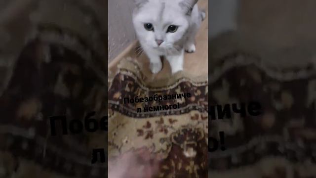 это все он смотреть онлайн