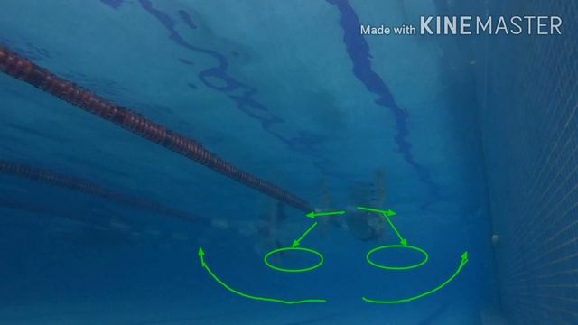 КАК ПЛАВАТЬ БРАССОМ. РАЗБОР ТЕХНИКИ ПЛАВАНИЯ БРАССОМ. Гребок брассом, ноги брасс.