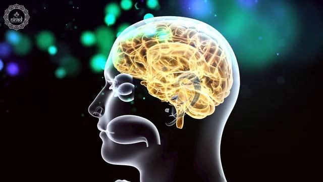 Upgrade Nerve Cells Signals | Boost Brain Agility and Rhythms | Brain Waves Isochronic Tones Healin смотреть онлайн
