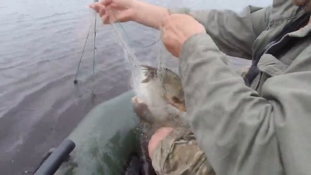 Рыбалка летом. Лов Огромного Карася на диком озере. смотреть онлайн