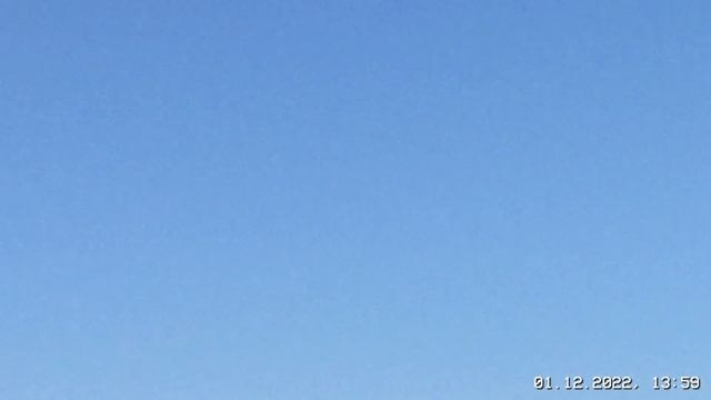 #Pigeons.Голуби которые летают ниже крыши ???? смотреть онлайн