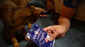 24 ЧАСА В КАРТОННОМ ДОМЕ С ЗЕФИРНЫМИ ЧЕЛОВЕЧКАМИ