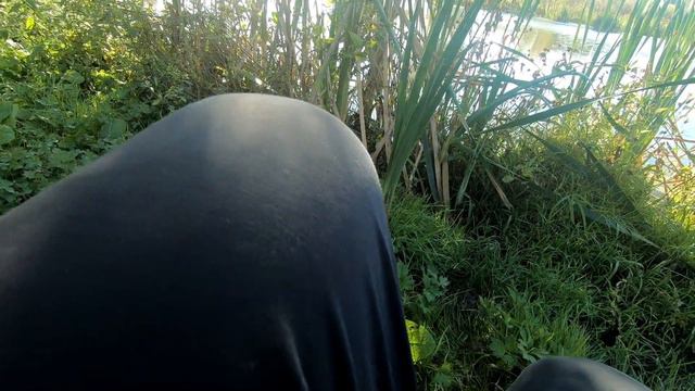 ОСЕННЯЯ РЫБАЛКА НА ОКУНЯ И ЩУКУ С ДРУГОМ! РЫБАЛКА НА ВОБЛЕРЫ И ДЖИГ смотреть онлайн