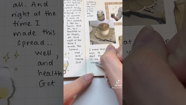Tiktok Asmr Journaling Compilation