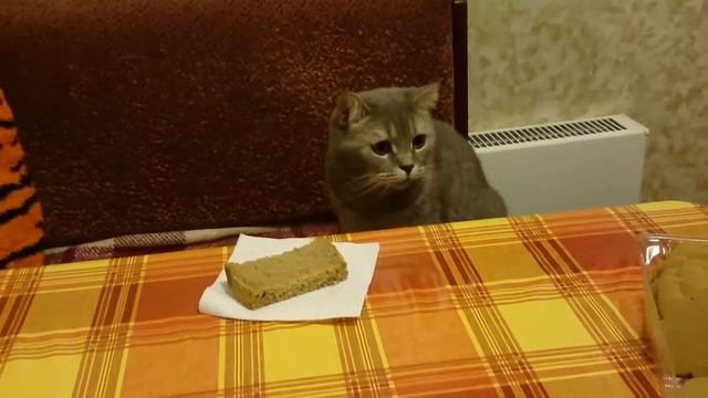 Слышь ты че такая дерзкая, а? смотреть онлайн