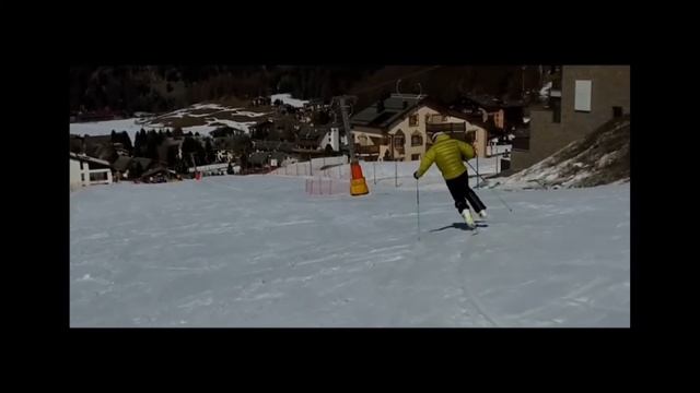 Урок физкультуры дистанционное обучение Демонстрация лыжной техники смотреть онлайн