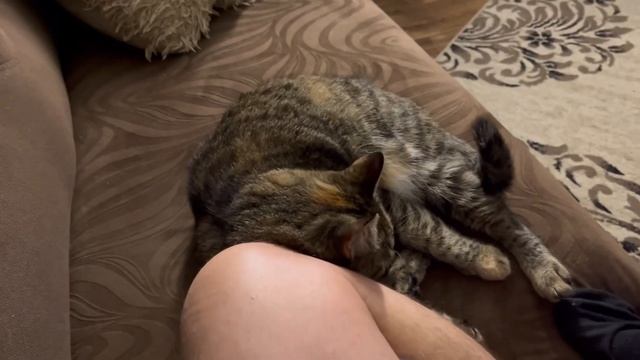 Ура забор стоит и дела домашние смотреть онлайн