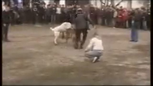 Azijati Kirgizstan 1 deo смотреть онлайн