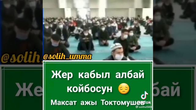 Максат ажы Токтомушев жер кабыл албай койбосун😰 смотреть онлайн