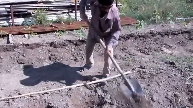 Подготовка почвы и посадка малины. Soil preparation and planting raspberries. смотреть онлайн