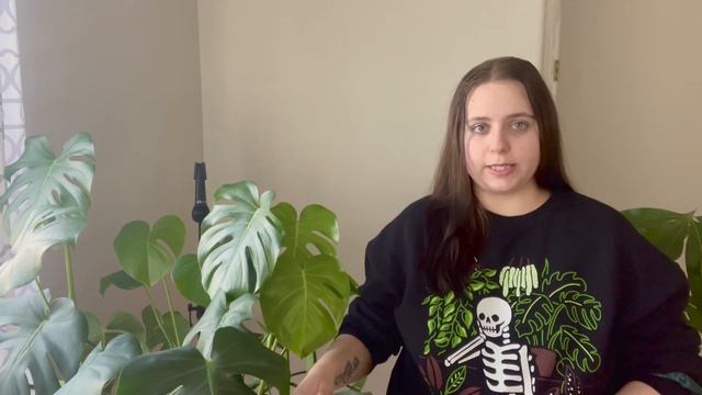 Plant Care! | | Monstera Deliciosa смотреть онлайн