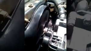 Поликлиновый ремень УМЗ-421