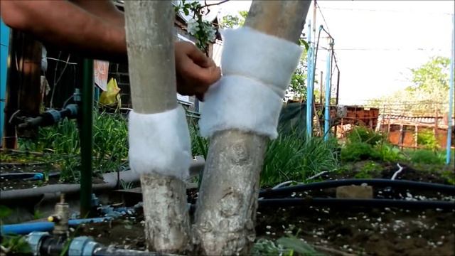 Trap_zone.wmv смотреть онлайн