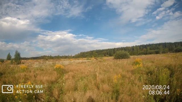 Охота на коростеля с Русским Спаниелем 3. Охота со спаниелем. смотреть онлайн