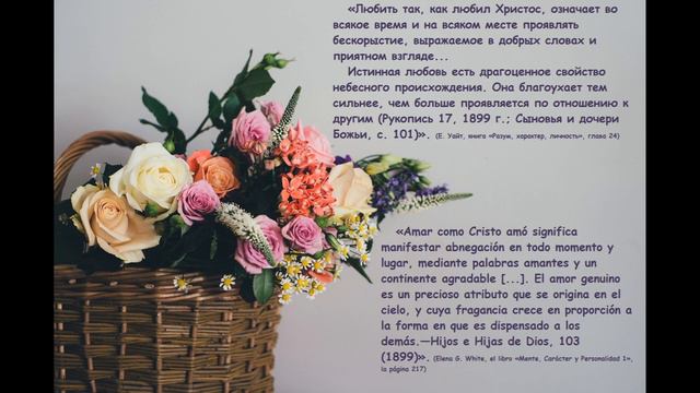 Выражение любви _ Бескорыстие | La expresión del amor _ La abnegación смотреть онлайн