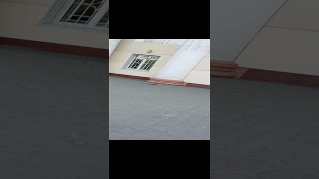 Аааа смотреть онлайн