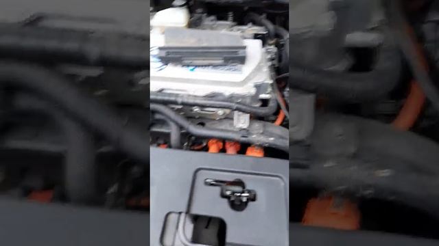 nissan leaf где находится номер движка и номер кузова. смотреть онлайн