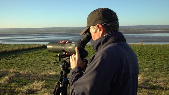 Birdwatching - a beginner's guide to binoculars and telescopes | WWT смотреть онлайн
