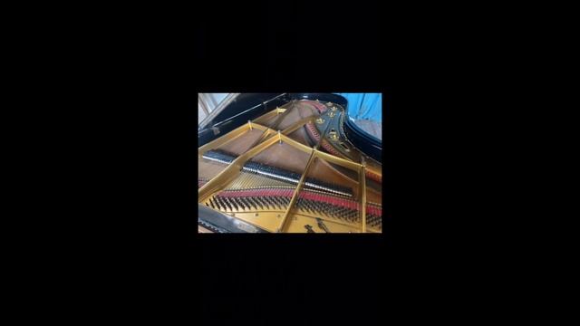 Playing a 1925 Richard Lipp Concert Grand смотреть онлайн