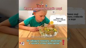 Детские эксперименты / Опыты с детьми / ЭКСПЕРИМЕНТ «КУДРИ ИЗ ОДУВАНЧИКА»