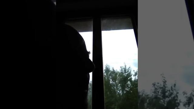 Horacio Quiroga, da " L' uomo morto " Interprete: Sergio Carlacchiani смотреть онлайн