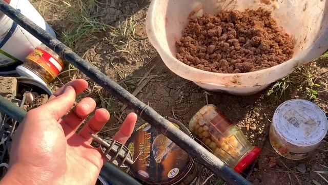 Карп на Макуху в Августе 2021 . Как ловить Карпа в Августе ! Снасть для ловли Крупных Сазанов ! смотреть онлайн