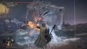 Где найти слезы личинки - Elden Ring