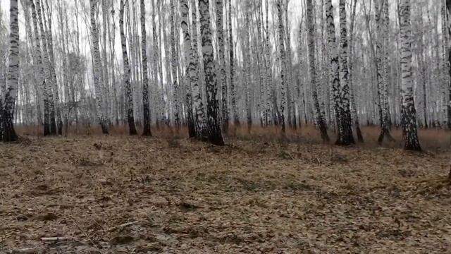 Весенние выходы с фишер ф44 смотреть онлайн