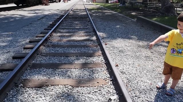 ПОЕЗД ПОЖИРАТЕЛЬ в Реальной Жизни ? SCP ПОЕЗД ПОЖИРАТЕЛЬ гонится за нами!!! смотреть онлайн