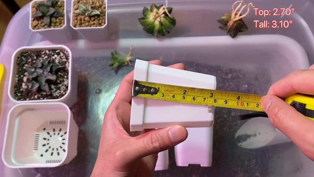 Recommended Pots for Haworthia Plants смотреть онлайн