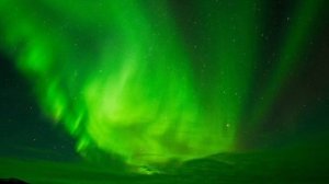 Остров Врангеля. Территория белых медведей