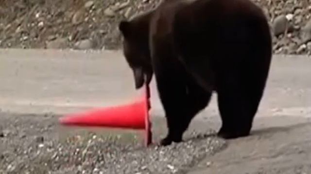 Ты смотри какой умный) смотреть онлайн