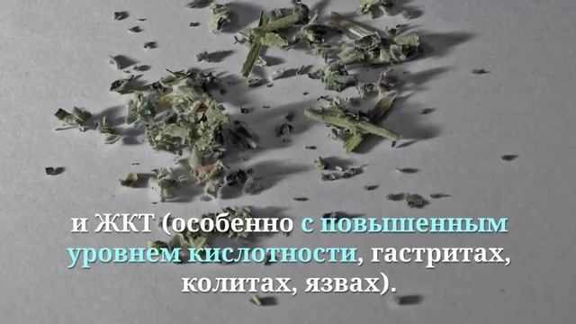 Вкусные обеды