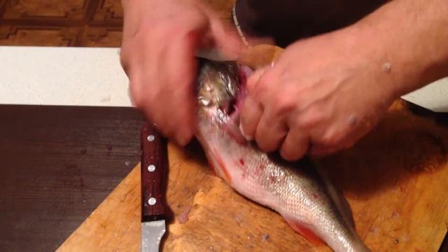 Как почистить окуня смотреть онлайн