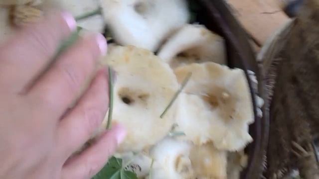 Солю Белые ГРУЗДИ.СЕЗОН 2018.ДАЧА смотреть онлайн