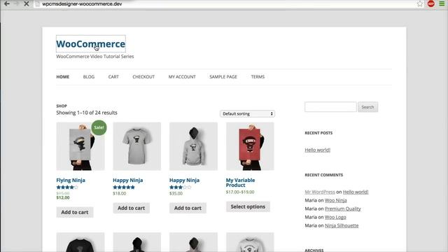 14 - How To Change Product Images Size? (WooCommerce Tutorial) смотреть онлайн