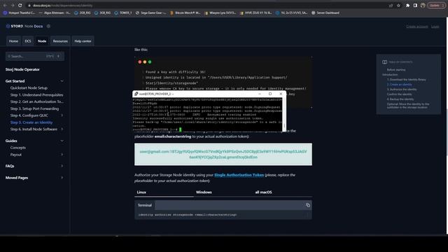 How To Provide Decentralized Storage on Storj from a Hive OS Rig смотреть онлайн