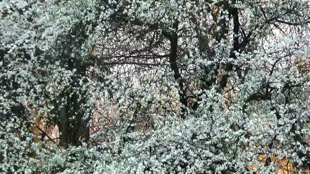 "Карантин" в спальном районе смотреть онлайн