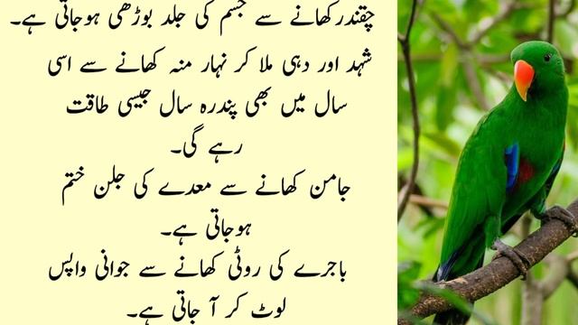 Best Urdu Totkay/Health Tips/Moti Hawateen Ab Dubli Patli Hon Gyi/Fat women slim down in a few days смотреть онлайн