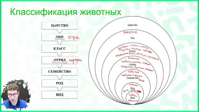 Тема №9: Признаки животных смотреть онлайн
