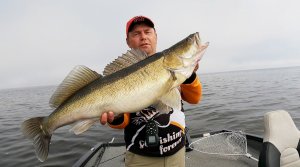 Рыбалка с другом на рыбинском водохранилище . 
Ловим пелагических судаков