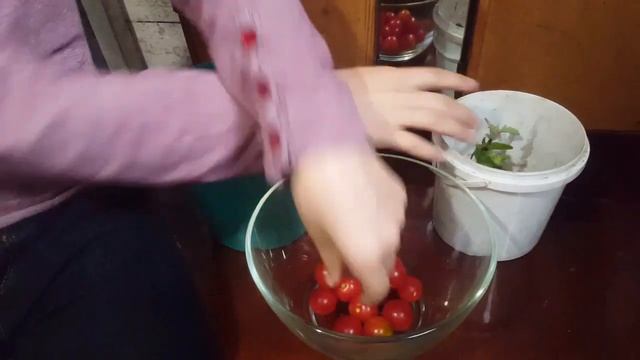 Сбор урожая Часть 1 Черри Томаты смотреть онлайн