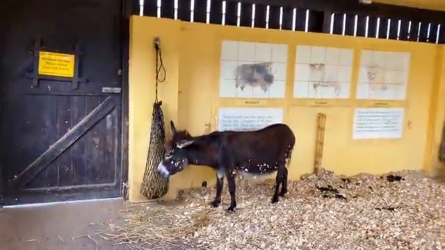 Учим Делать Красиво