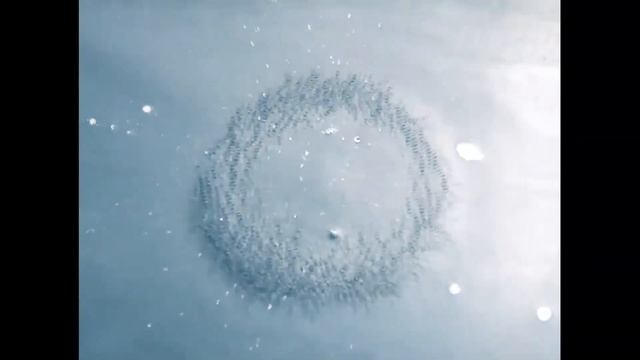 852 Гц - Симфония Перехода | Визуализация с помощью киматики смотреть онлайн