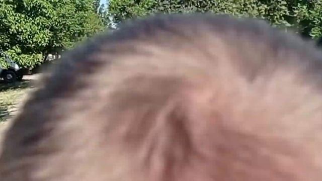 ПОКАТУШКА НА ПИДБАЙКЕ, АЛЬФЕ И ДЕЛЬТЕ ПУШКА РОЛИК.... смотреть онлайн