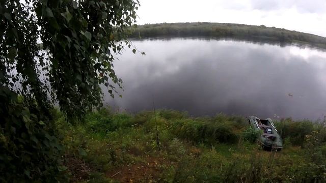Рыбалка на р. Молога. В гостях у Яница 23. Пестовский р-н. Новгородская обл. Рыбалка с Денчиком. смотреть онлайн