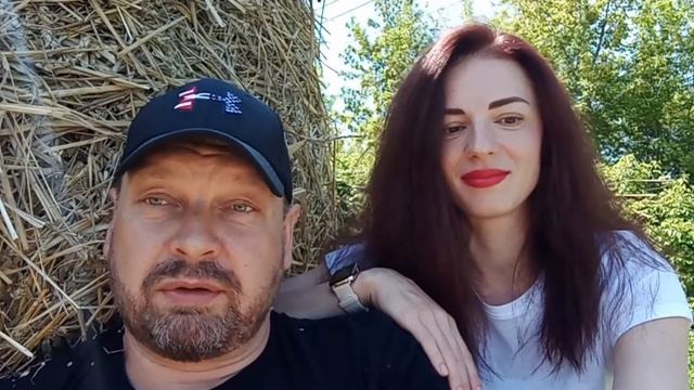 4 провокационных вопроса вегану. Провоцирую Вегана! смотреть онлайн